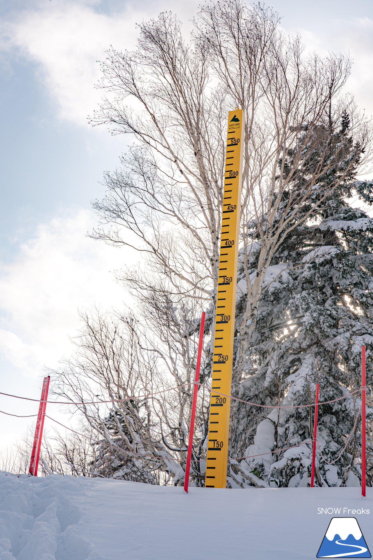 札幌国際スキー場｜積雪100cm超え！名物の急斜面『ダウンヒルコース』を含む、全てのコースが気持ち良～く滑走可能です(^^)/